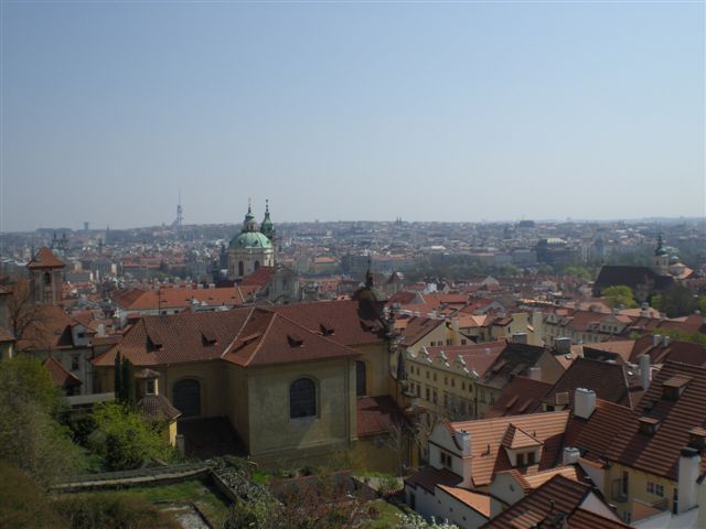 CIMG7663.JPG