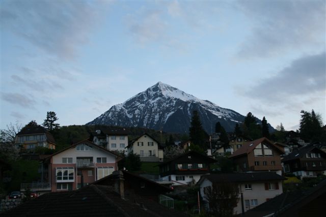 IMG_2654.jpg
