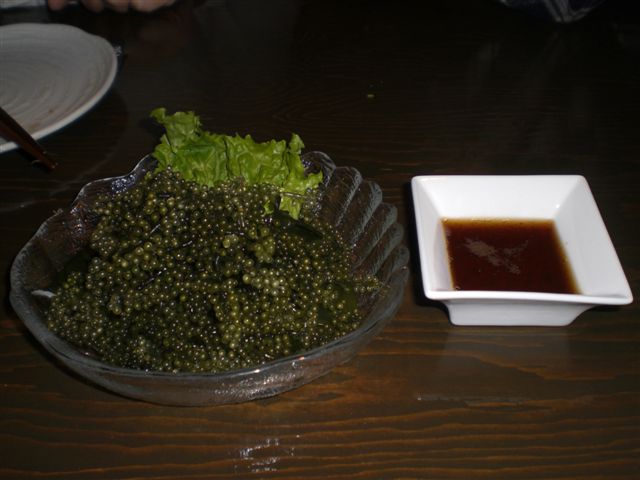 CIMG9121.JPG