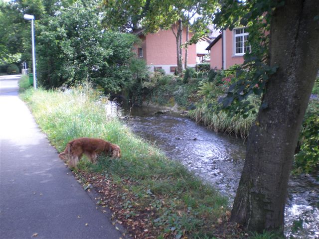 CIMG8348.JPG