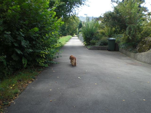 CIMG8349.JPG