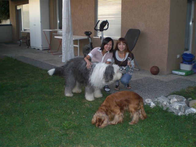 Bei Asako 007.jpg