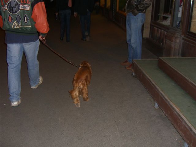 Vincent 2