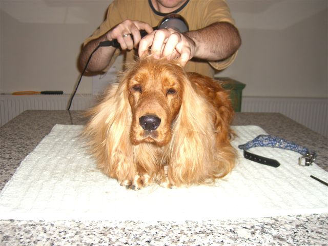 CIMG4367.JPG