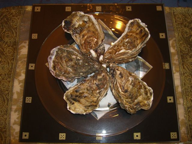 CIMG5566.JPG