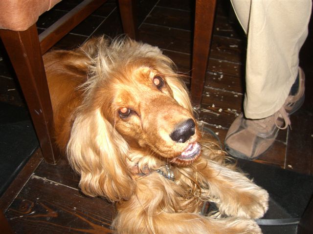 CIMG3846.JPG