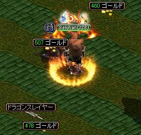 ドラゴンスレイヤー.JPG