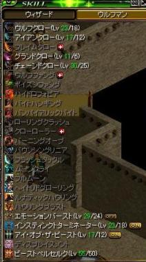 犬ｽｷﾙ.JPG