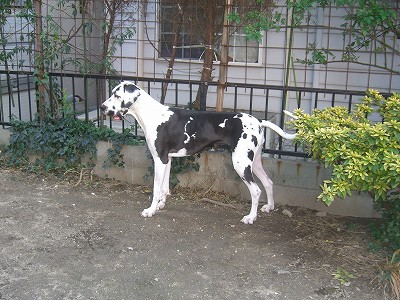 s-画像　2007.1.18 cake gardening 006.jpg