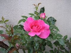 IMG_58880033.jpg