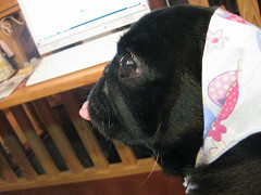 resize1167.jpg
