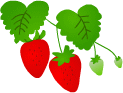 image60イチゴ.gif