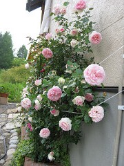 resize0926.jpg