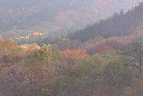 由布岳パーキングエリアから