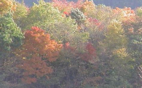 由布岳パーキングエリアから