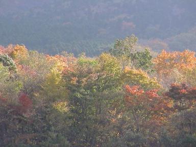 由布岳パーキングエリアから