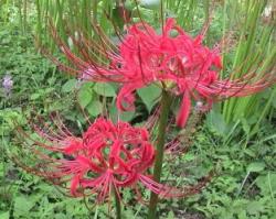 七つ森古墳公園 (4).jpg