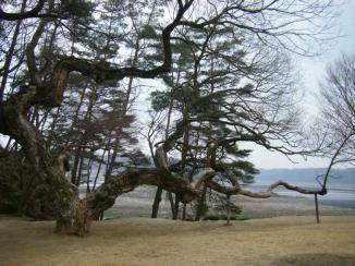 陶山書院（安東） トサンソウォン