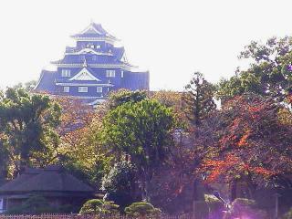 後楽園から岡山城を臨む