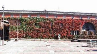 倉敷　アイビースクエア