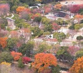 姫路城　天守閣からの景色