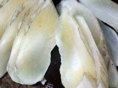 ヤーコン入りマカロニサラダ (1).JPG