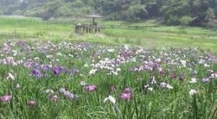 神楽女湖 (1).jpg