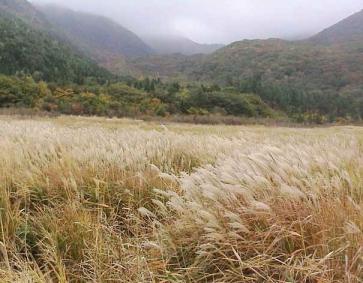 飯田高原 長者原