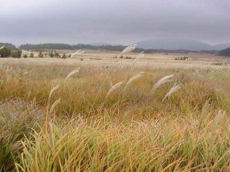 飯田高原 長者原