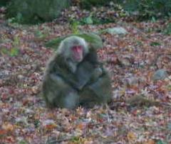 おお～～、寒い寒い！