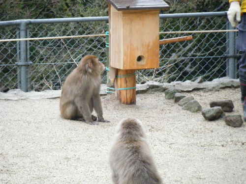 箱からエサが取れるかな?