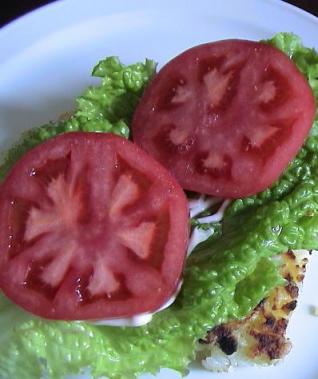 ごはんのバーガー (7).jpg