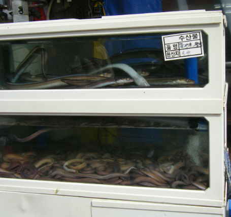 チャガルチ市場