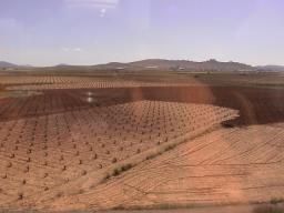 ラ・マンチャの赤土