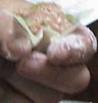 手作りシューマイ (2).jpg