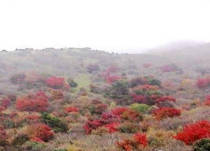 牧ノ戸峠　紅葉