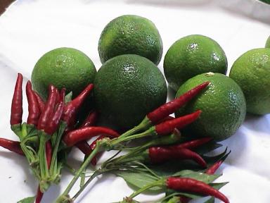 カボタンコショー