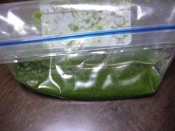 冷凍バジルソース