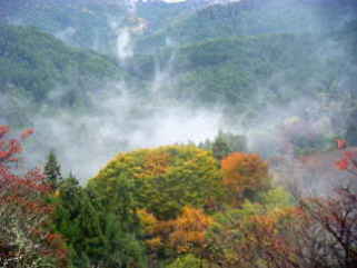 吉野山　中千本 (3).JPG