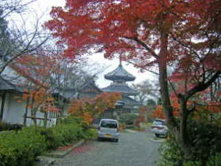 吉野金峯山寺きんぶせんじ (4).JPG