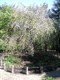 2011-09-25 15:54:53