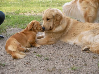 蘭ちゃんとチュッ