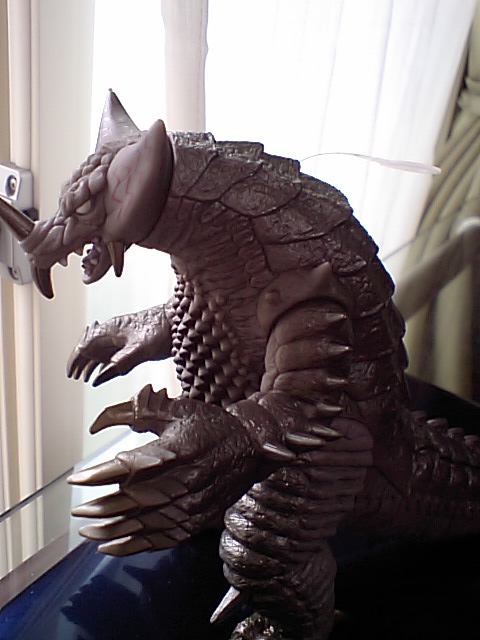 CA371312.JPG