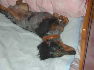 DSCF3942_edited.jpg