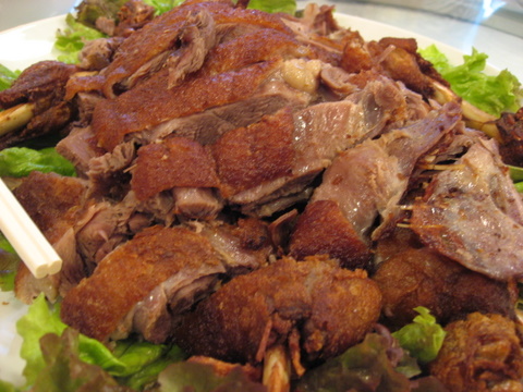 duck
