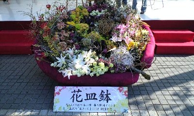 花皿鉢.JPG