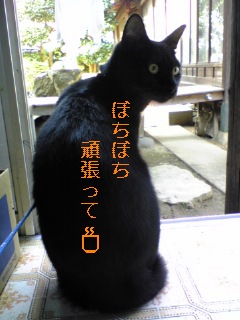 2007-11-20 12:04:57