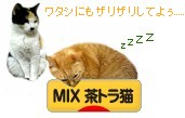 にほんブログ村 猫ブログ MIX茶トラ猫へ