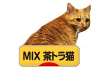 にほんブログ村 猫ブログ MIX茶トラ猫へ