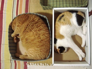 眠れてるのか？。。.jpg
